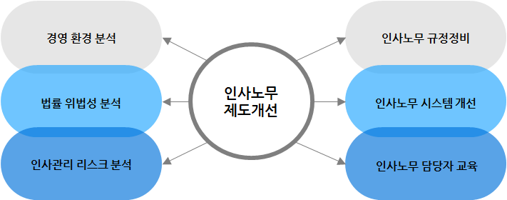 인사노무제도개선 컨설팅 서비스 도식